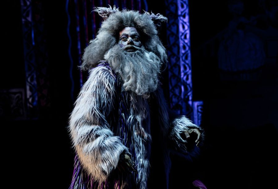 Photos: Circus-Themed CATS Soars At Chicago's Paramount Theatre Image