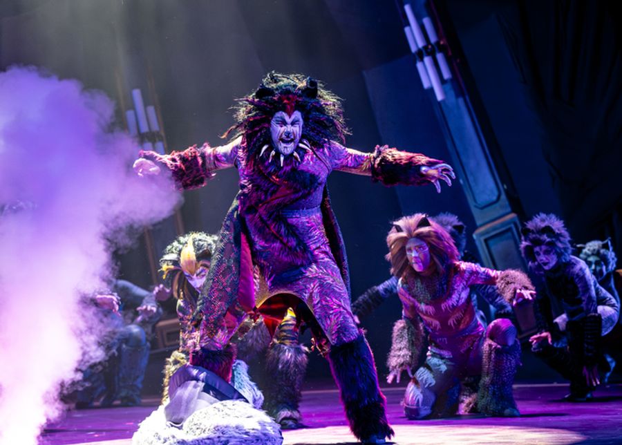 Photos: Circus-Themed CATS Soars At Chicago's Paramount Theatre Image