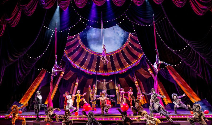 Photos: Circus-Themed CATS Soars At Chicago's Paramount Theatre Image