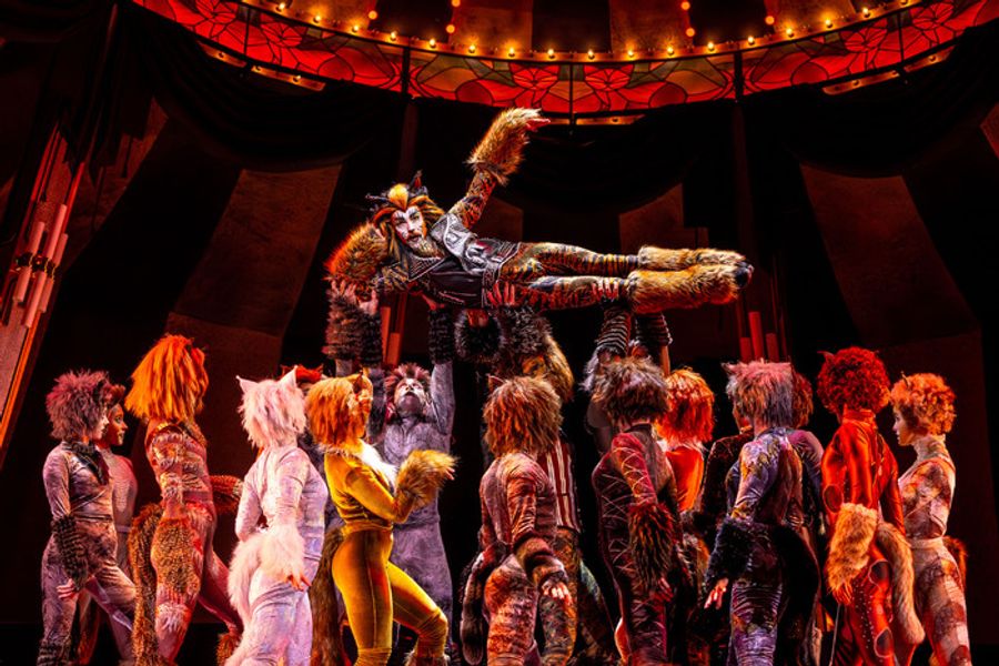 Photos: Circus-Themed CATS Soars At Chicago's Paramount Theatre Image