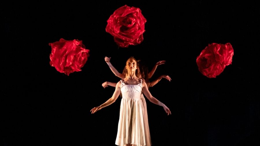 MOMIX's Alice