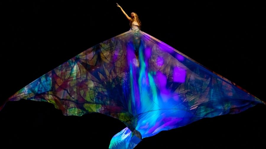 MOMIX, Alice