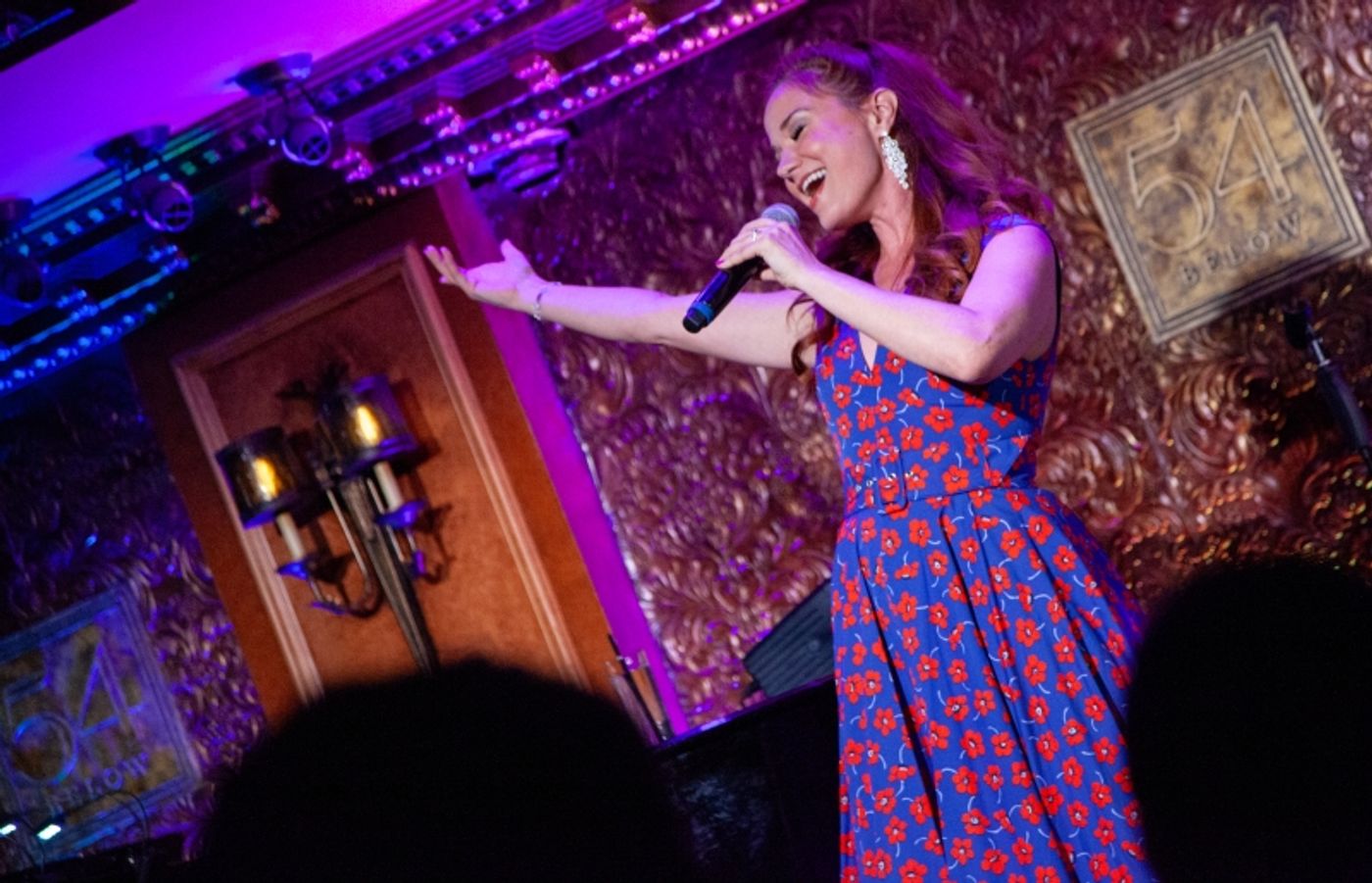 Review: SIERRA BOGGESS Heals Through Art at 54 Below  Image