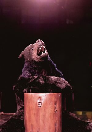 Joshua Harto @ BroadwayWorld Joshua Harto Photo