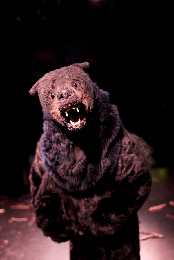 Photos: First Look At GOLDILOCKS HAS QUESTIONS Off-Broadway  Image