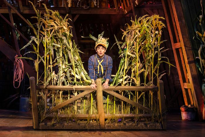 Photos: SHUCKED at Regent’s Park Open Air Theatre — photo 6 of 16