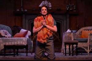 Carlyn Connolly Photo