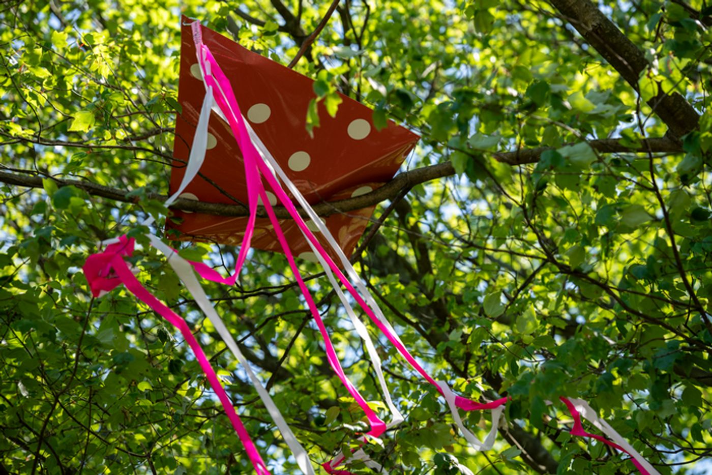 Photos: Governors Island Arts Debuts REST/PLAY Exhibition Photos: Governors Island Arts Debuts REST/PLAY Exhibition Image