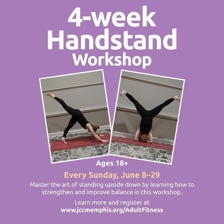 Review: ALICE @ WONDERLAND at Belz Theater Within The Orgel Family Performing Arts Center Review: ALICE @ WONDERLAND at Belz Theater Within The Orgel Family Performing Arts Center Image