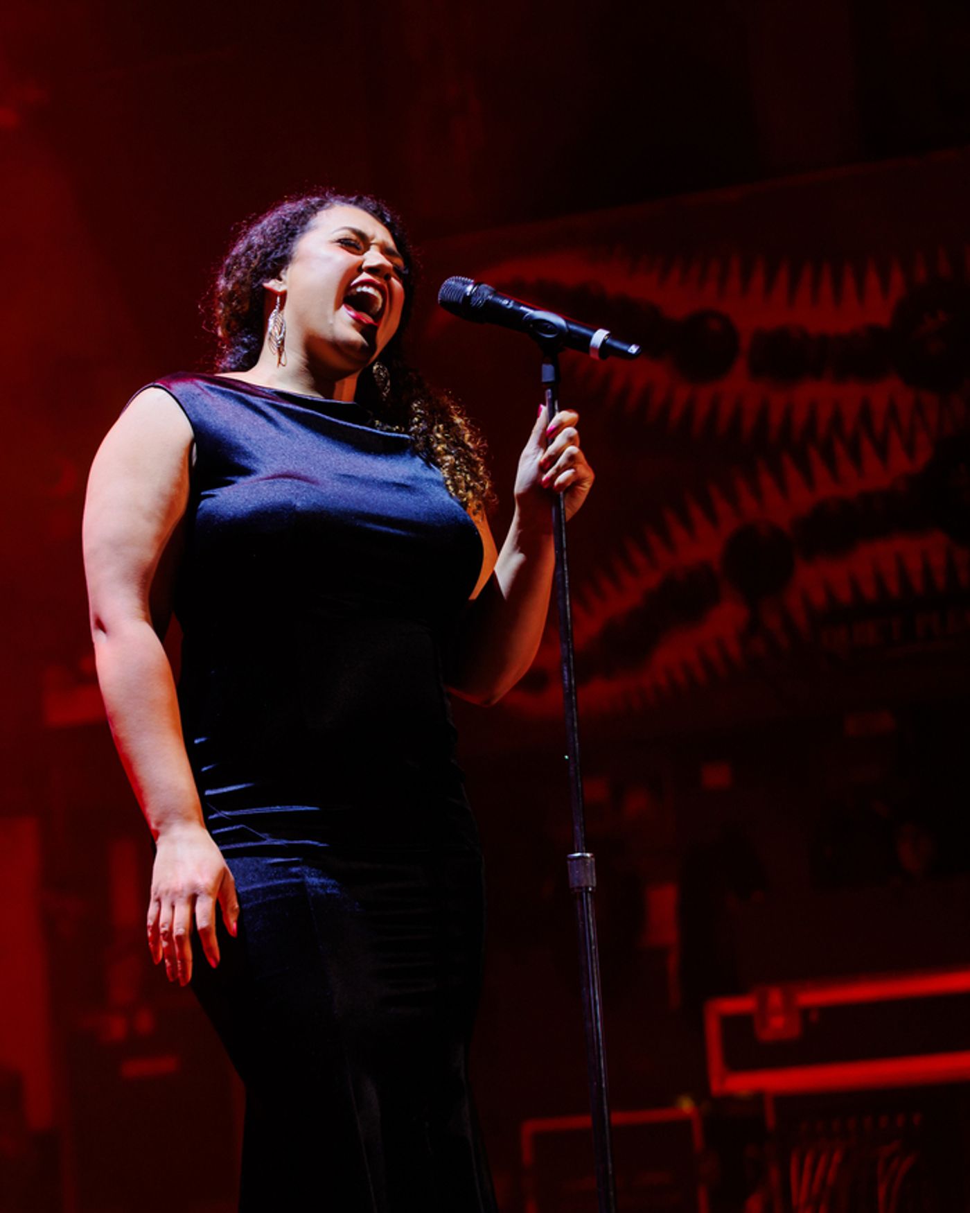 Photos: CHICAGO SINGS 30 YEARS OF PORCHLIGHT Event  Image