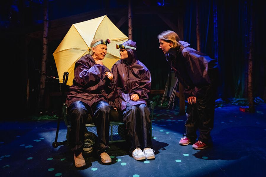 Review: THIS IS MY FAMILY, Southwark Playhouse Elephant Image