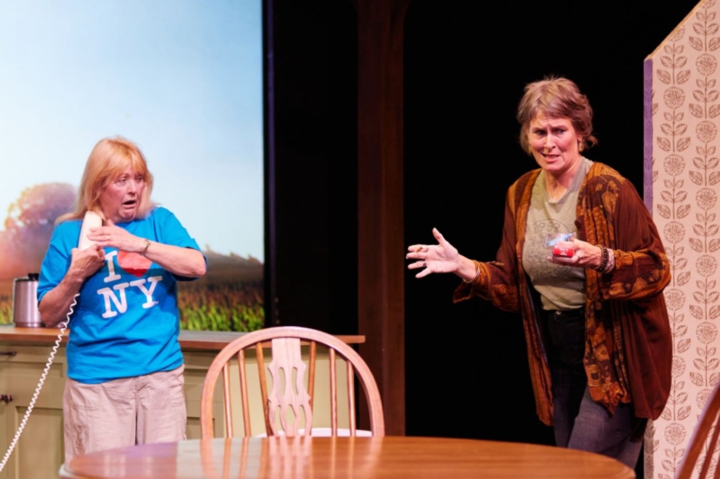 Review: THE ROOMMATE at Kansas City Actors' Theatre  Image