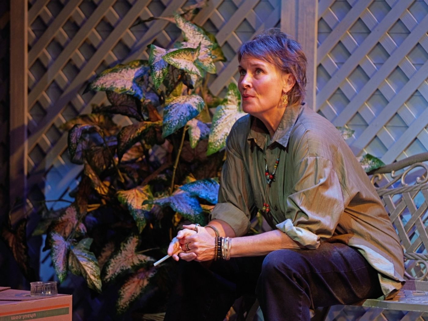 Review: THE ROOMMATE at Kansas City Actors' Theatre  Image