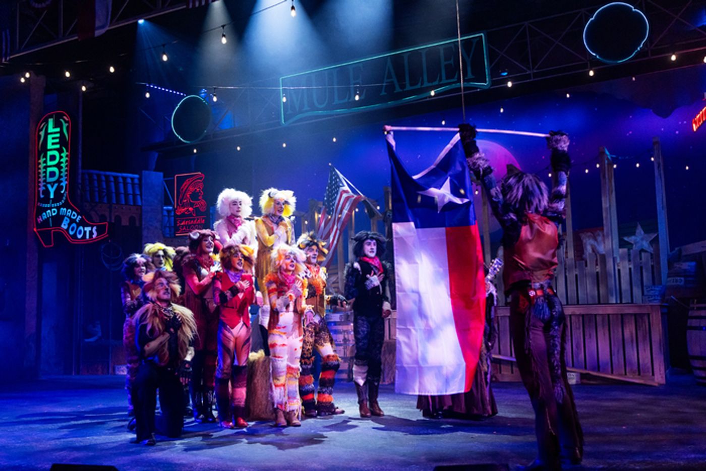 Photos: Jackie Burns and More in 'Country' CATS at Casa Mañana  Image