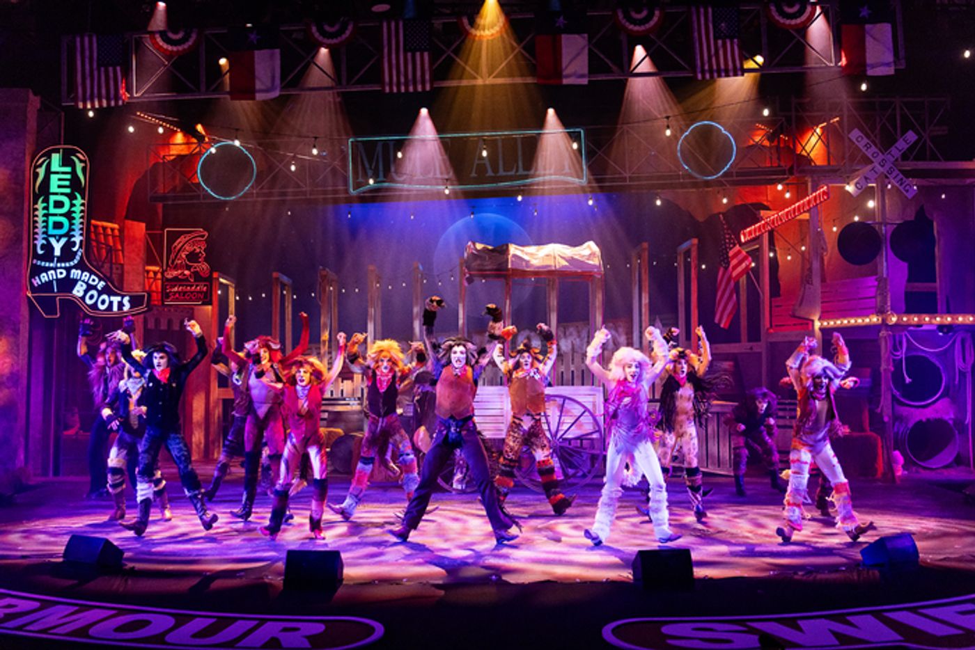 Photos: Jackie Burns and More in 'Country' CATS at Casa Mañana  Image