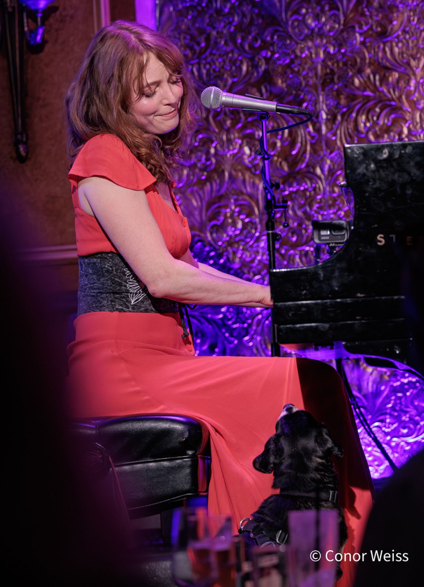 Photos: See Highlights from Alicia Witt's Stunning Show at 54 Below  Image