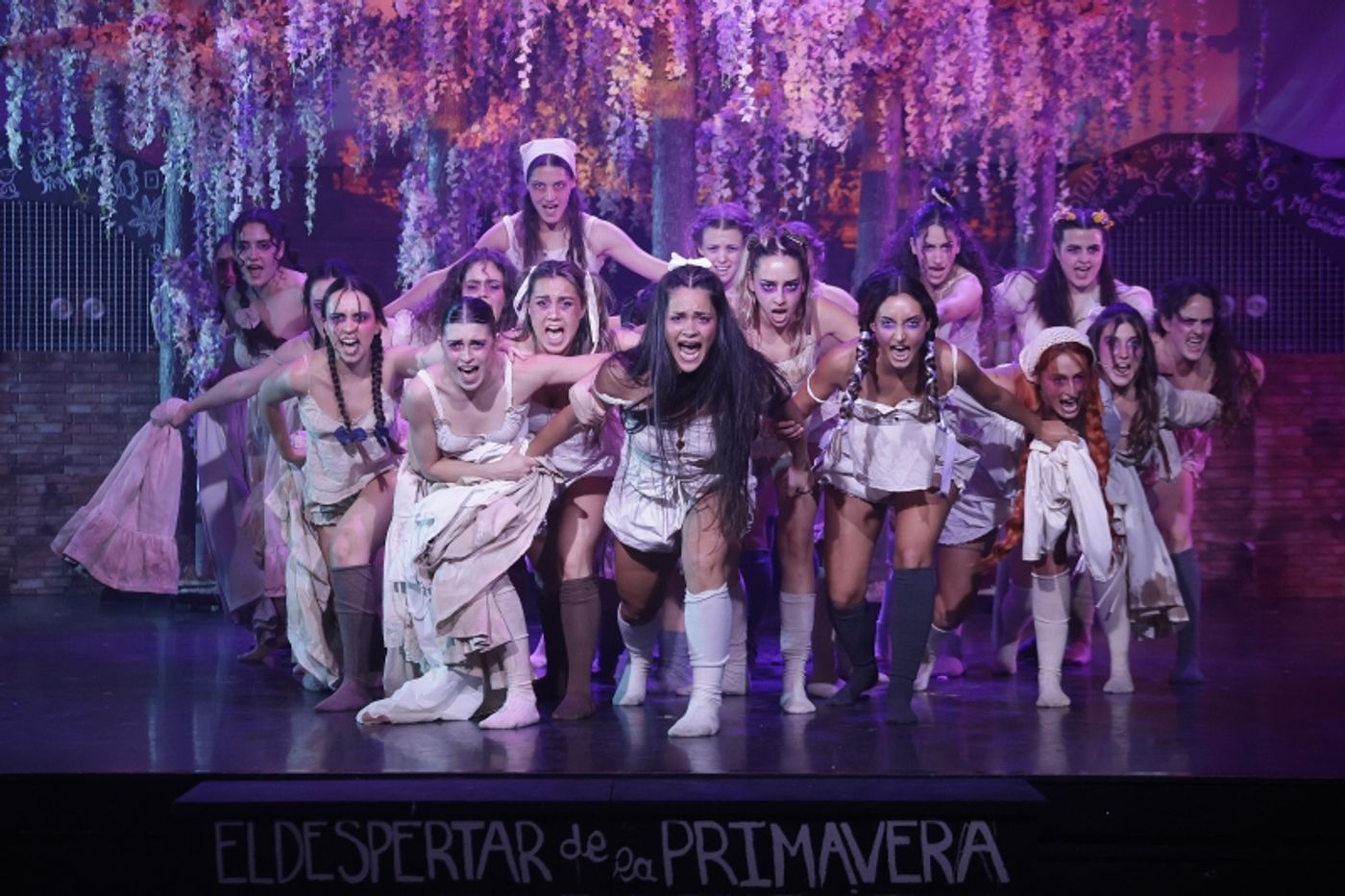 ESAEM presenta EL DESPERTAR DE LA PRIMAVERA en el Teatro Cervantes el próximo 17 de junio  Image