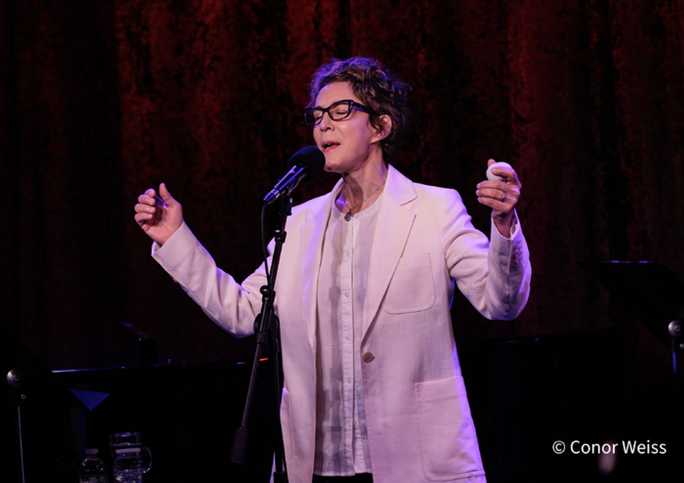 Photos: See Highlights from Stacey Kent's Sublime Latest Show at Birdland  Image