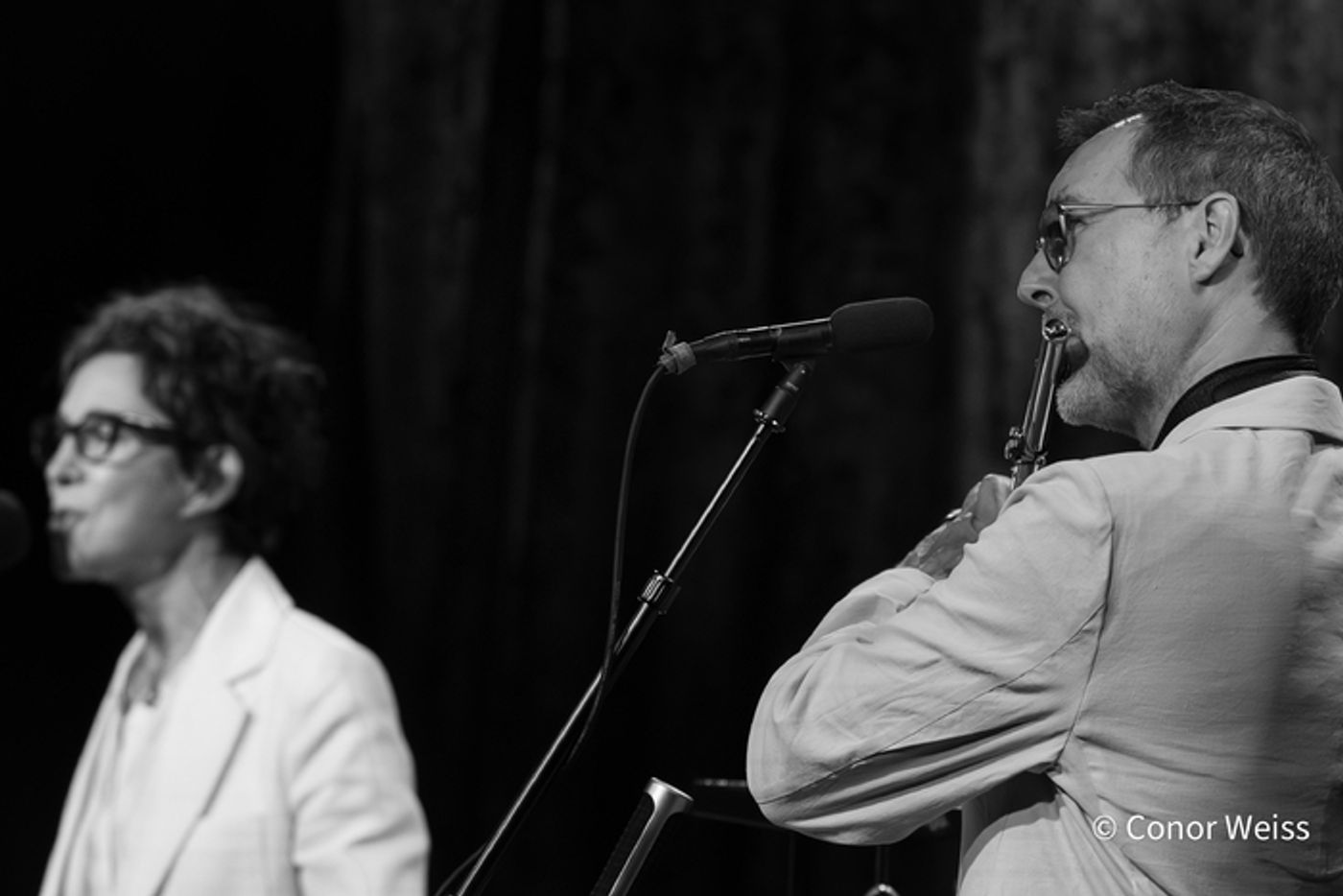 Photos: See Highlights from Stacey Kent's Sublime Latest Show at Birdland  Image