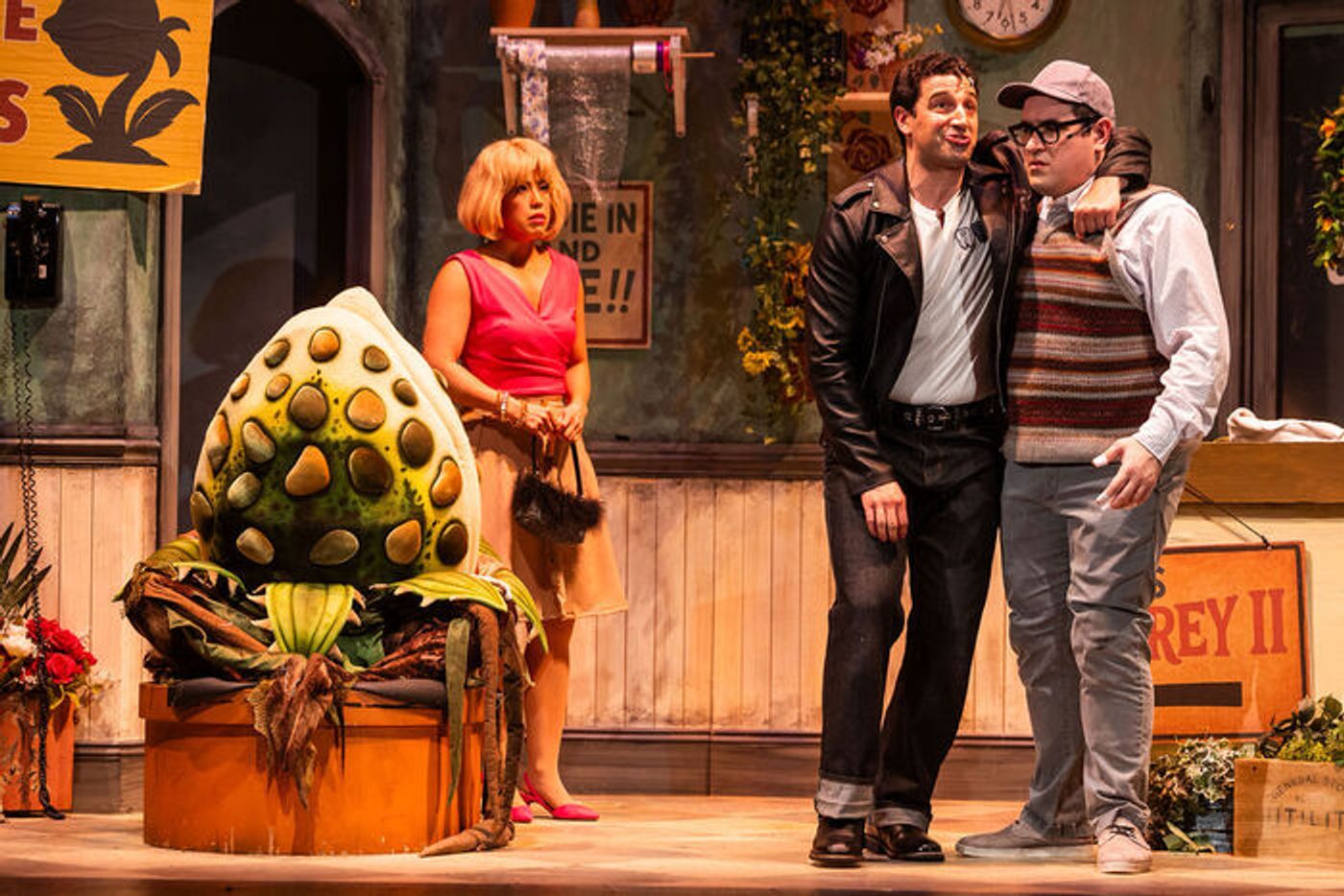 Photos: LITTLE SHOP OF HORRORS At Greater Boston Stage Company Photos: LITTLE SHOP OF HORRORS At Greater Boston Stage Company Image