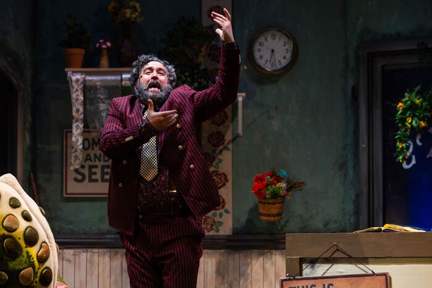 Photos: LITTLE SHOP OF HORRORS At Greater Boston Stage Company Photos: LITTLE SHOP OF HORRORS At Greater Boston Stage Company Image