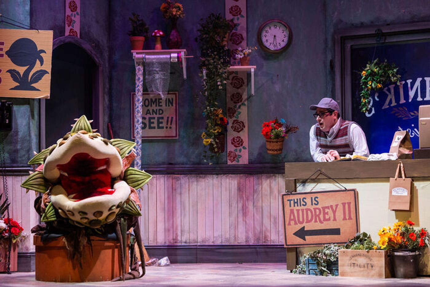 Photos: LITTLE SHOP OF HORRORS At Greater Boston Stage Company Photos: LITTLE SHOP OF HORRORS At Greater Boston Stage Company Image