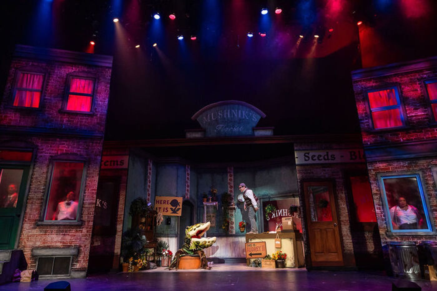 Photos: LITTLE SHOP OF HORRORS At Greater Boston Stage Company Photos: LITTLE SHOP OF HORRORS At Greater Boston Stage Company Image