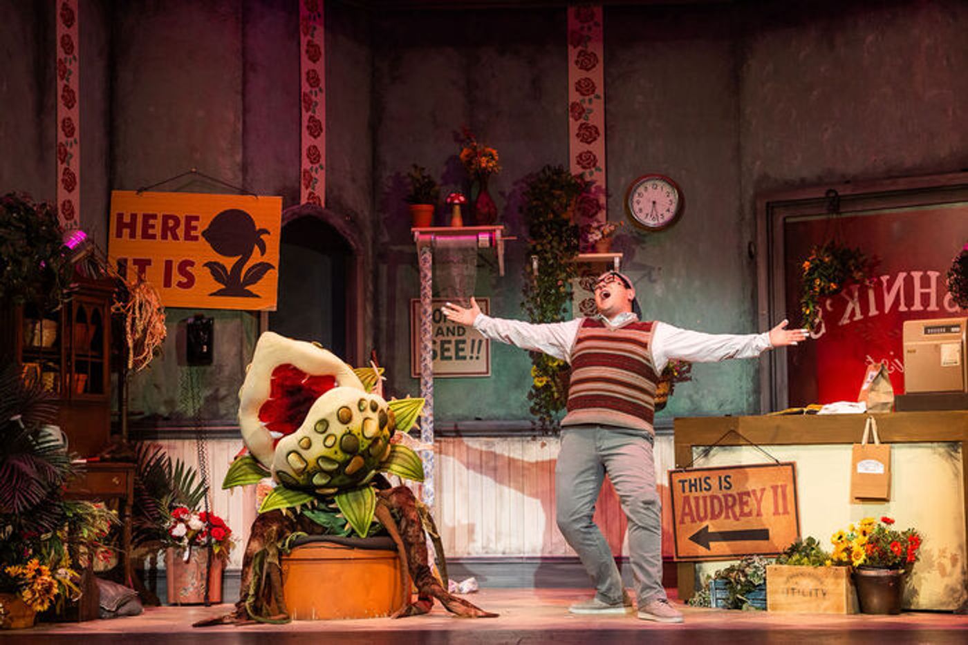 Photos: LITTLE SHOP OF HORRORS At Greater Boston Stage Company Photos: LITTLE SHOP OF HORRORS At Greater Boston Stage Company Image