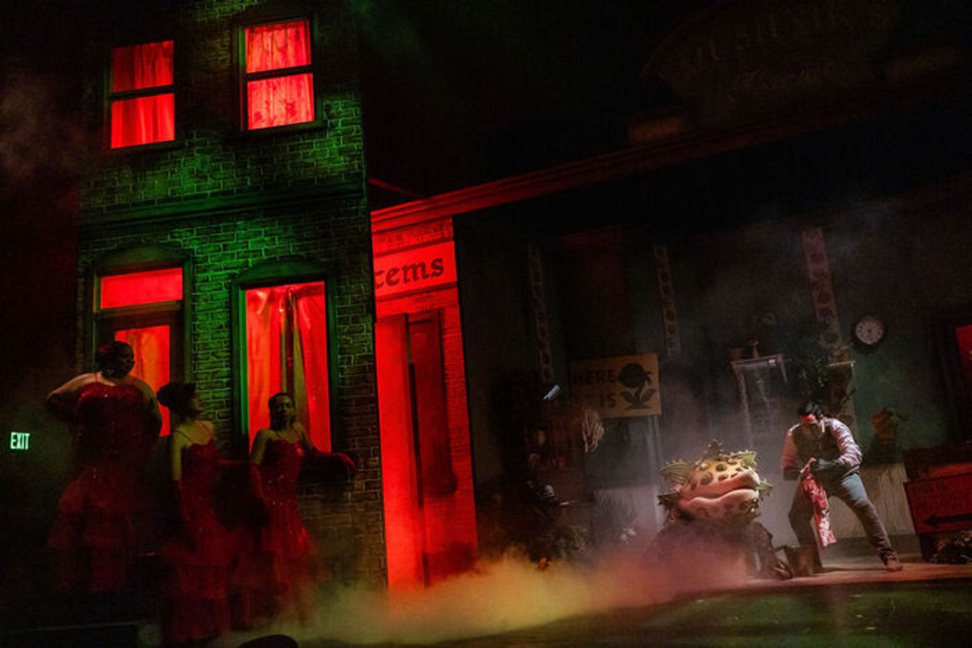 Photos: LITTLE SHOP OF HORRORS At Greater Boston Stage Company Photos: LITTLE SHOP OF HORRORS At Greater Boston Stage Company Image