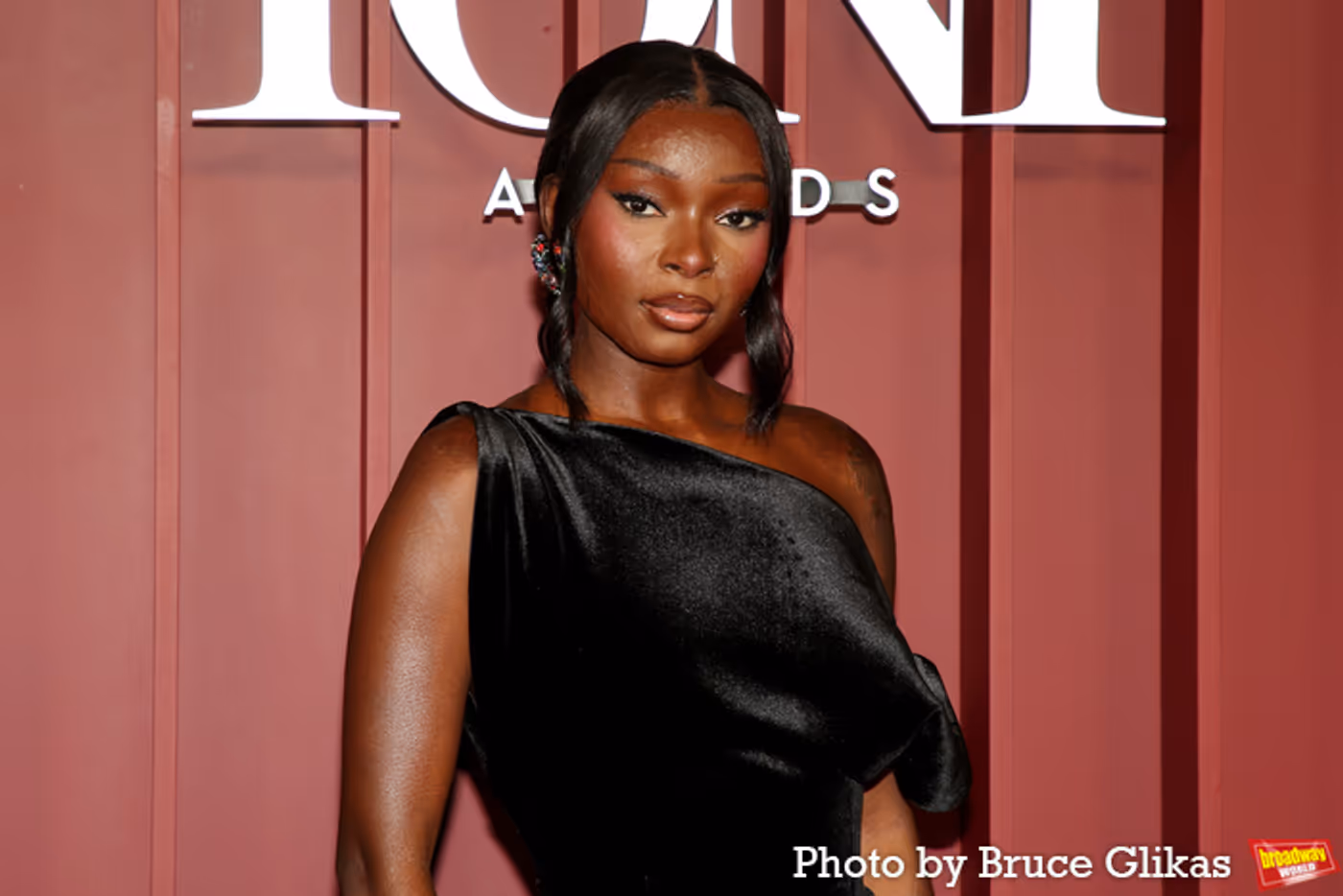 Photos: 2025 Tony Awards- Stars Walk the Red Carpet  Image