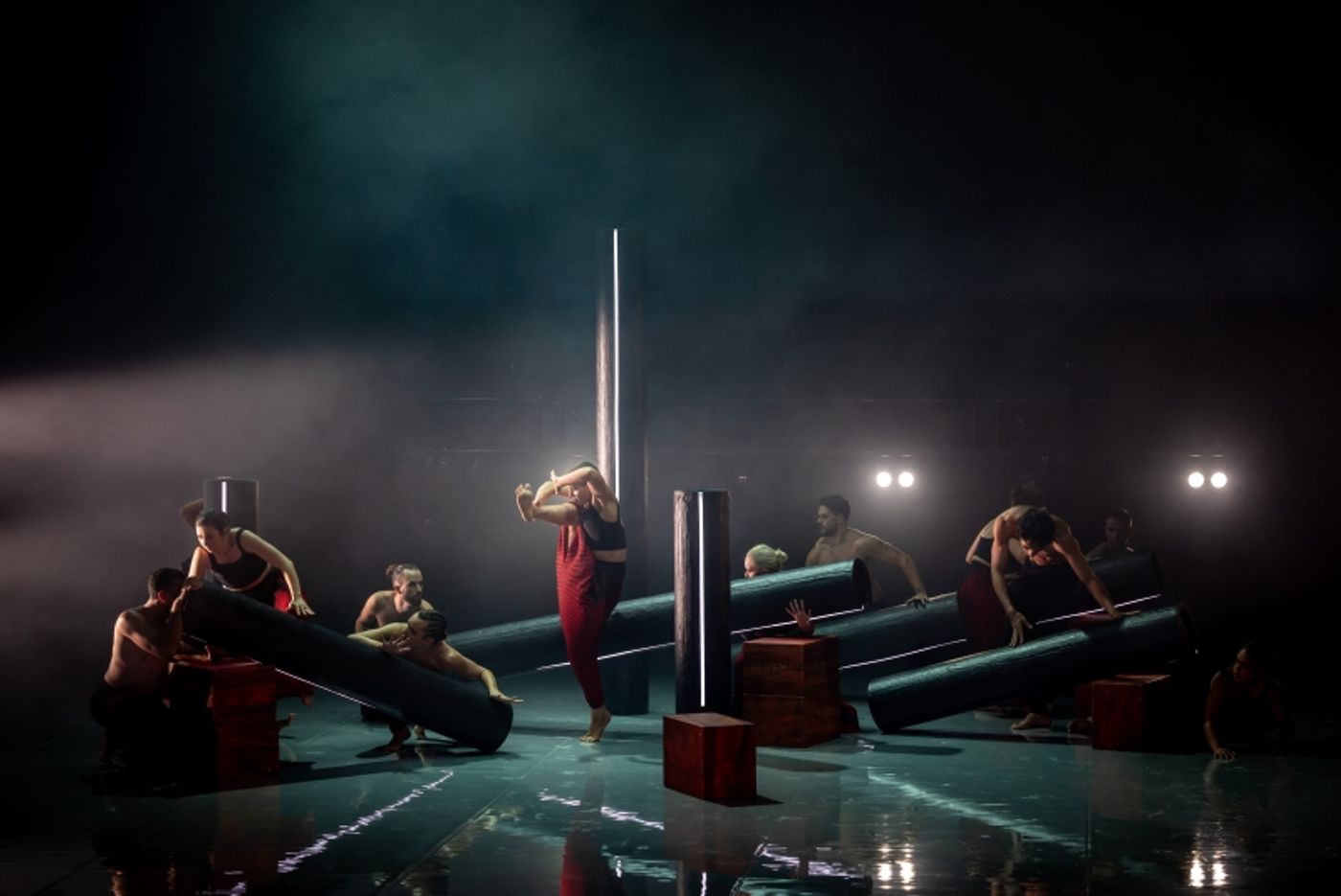 Review: Bangarra Blooms with The Extraordinary Glow Of ILLUME  Image