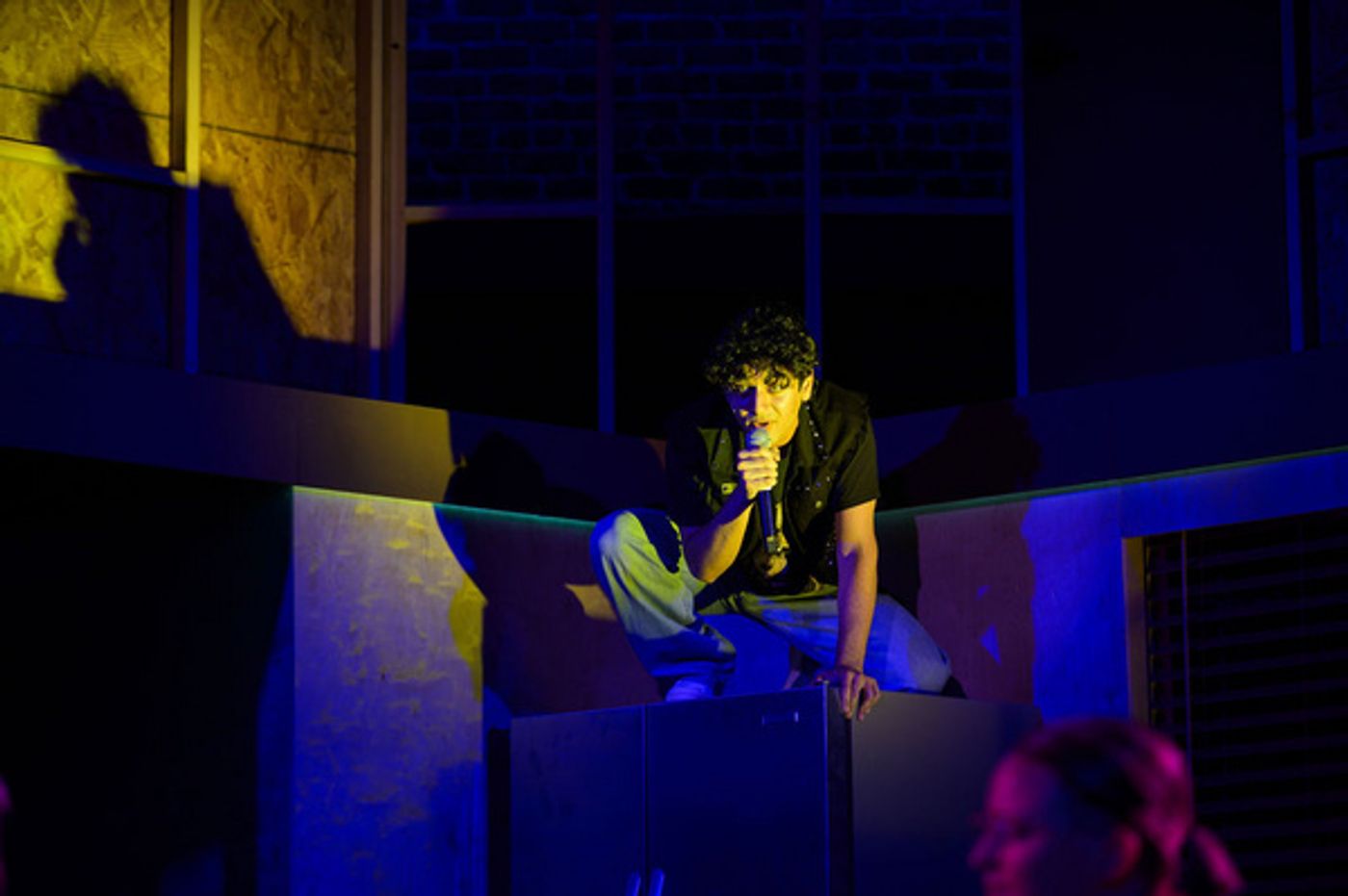 Photos: NEXT TO NORMAL at Ray of Light Theatre in San Francisco  Image