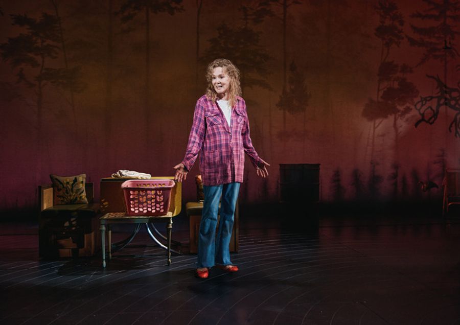 Photos: Emmy-Winner Jean Smart Stars In CALL ME IZZY On Broadway Image