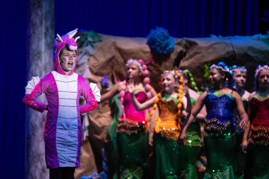 Photos: First look at THE LITTLE MERMAID JR at Sunbury Performing Arts Image