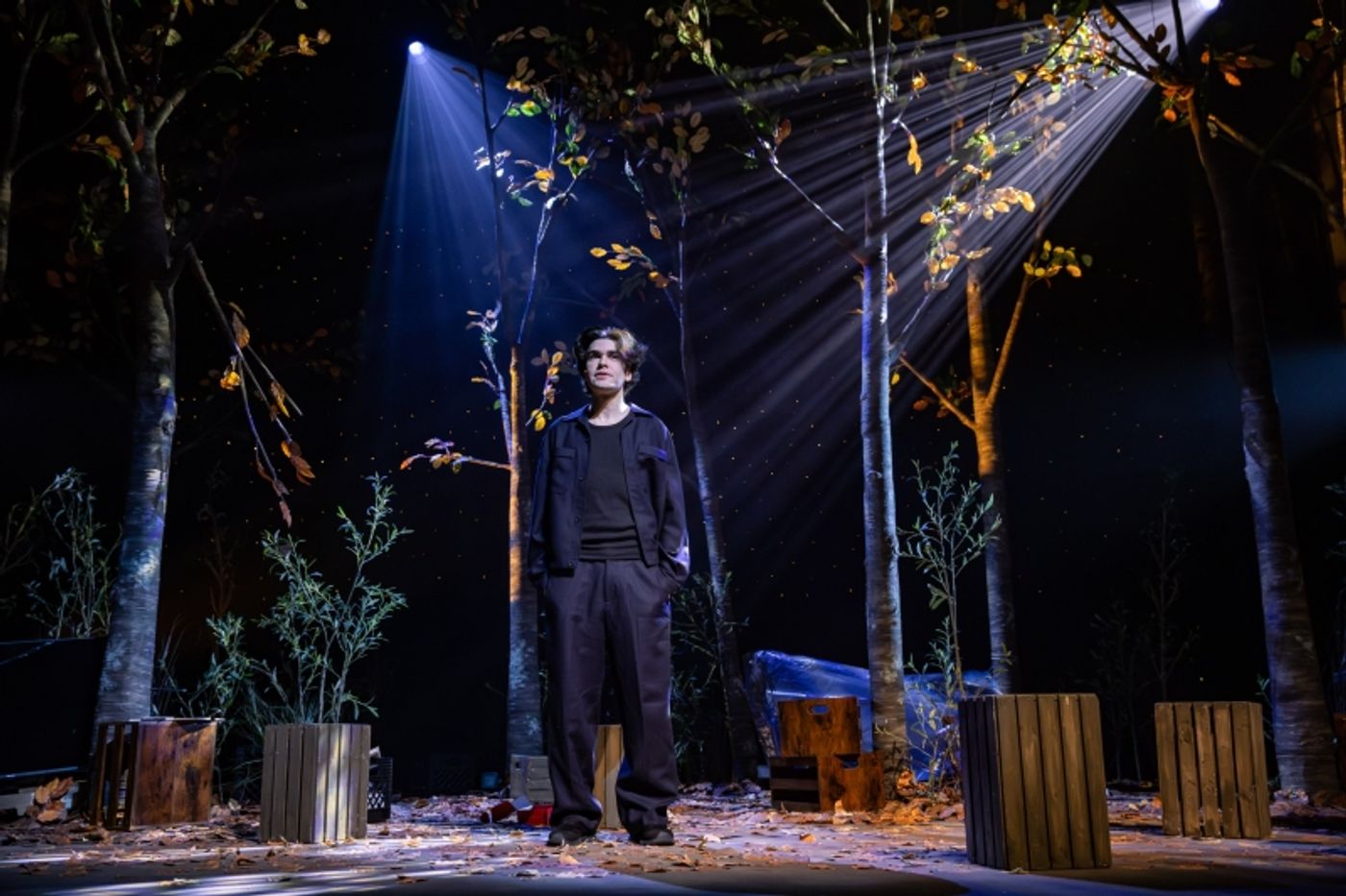 REVIEW:The miracle of wonder as Scott Silven embraces THE LOST THINGS  Image
