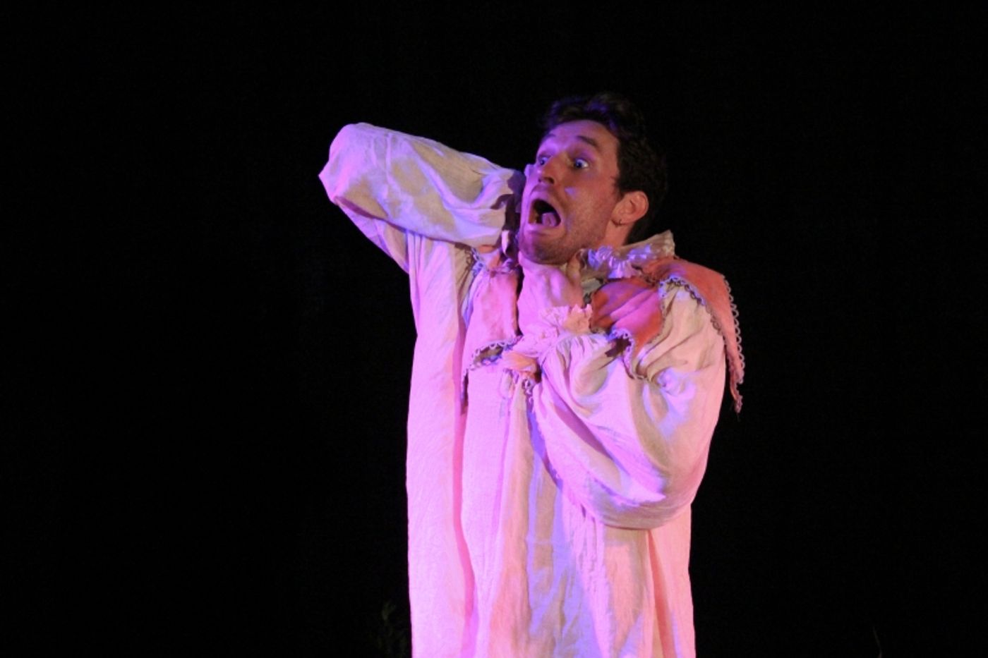 Review: HAMSTRUNG: A SHAKESPEAREAN GHOST STORY, The Glitch  Image