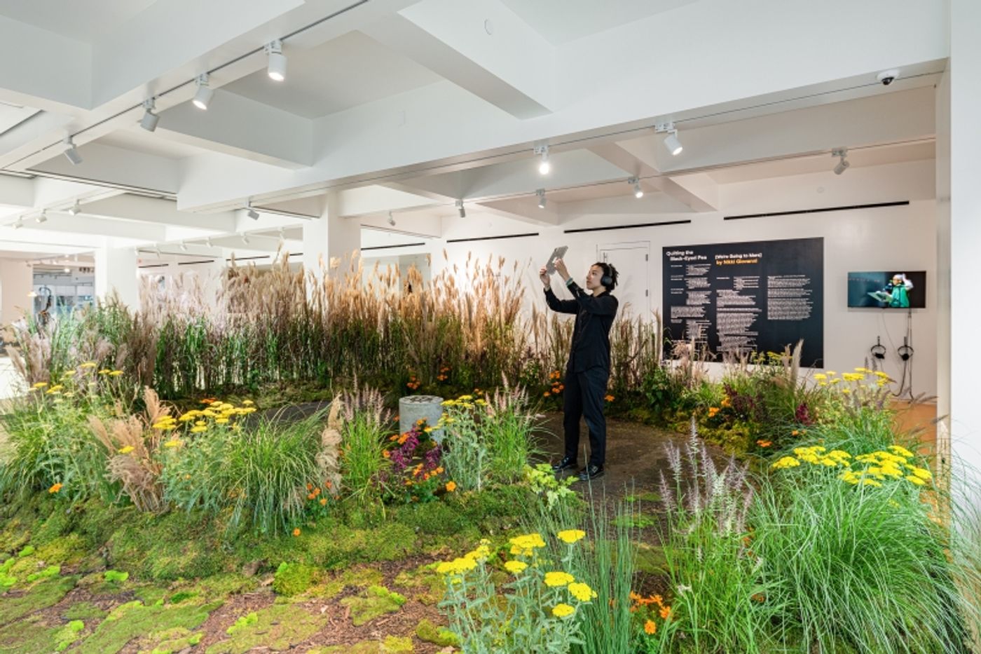 IN SEARCH OF US by TriBeCa Festival and Onassis ONX-The Future of Storytelling IN SEARCH OF US by TriBeCa Festival and Onassis ONX-The Future of Storytelling Image