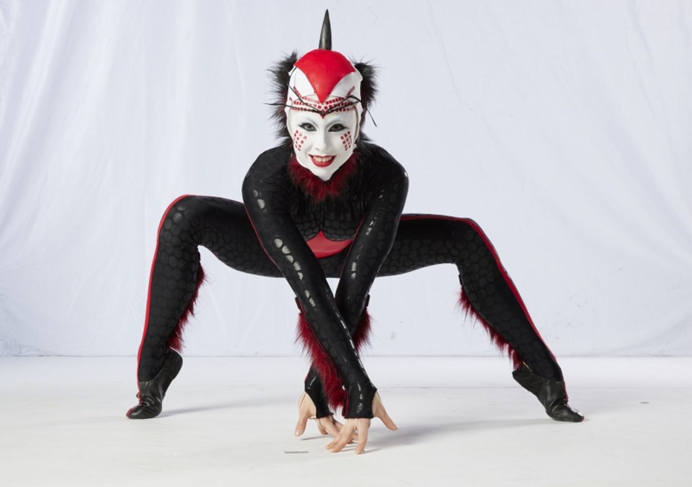 Cirque du Soleil’s OVO Brings a Bold New Buzz to New Orleans  Image