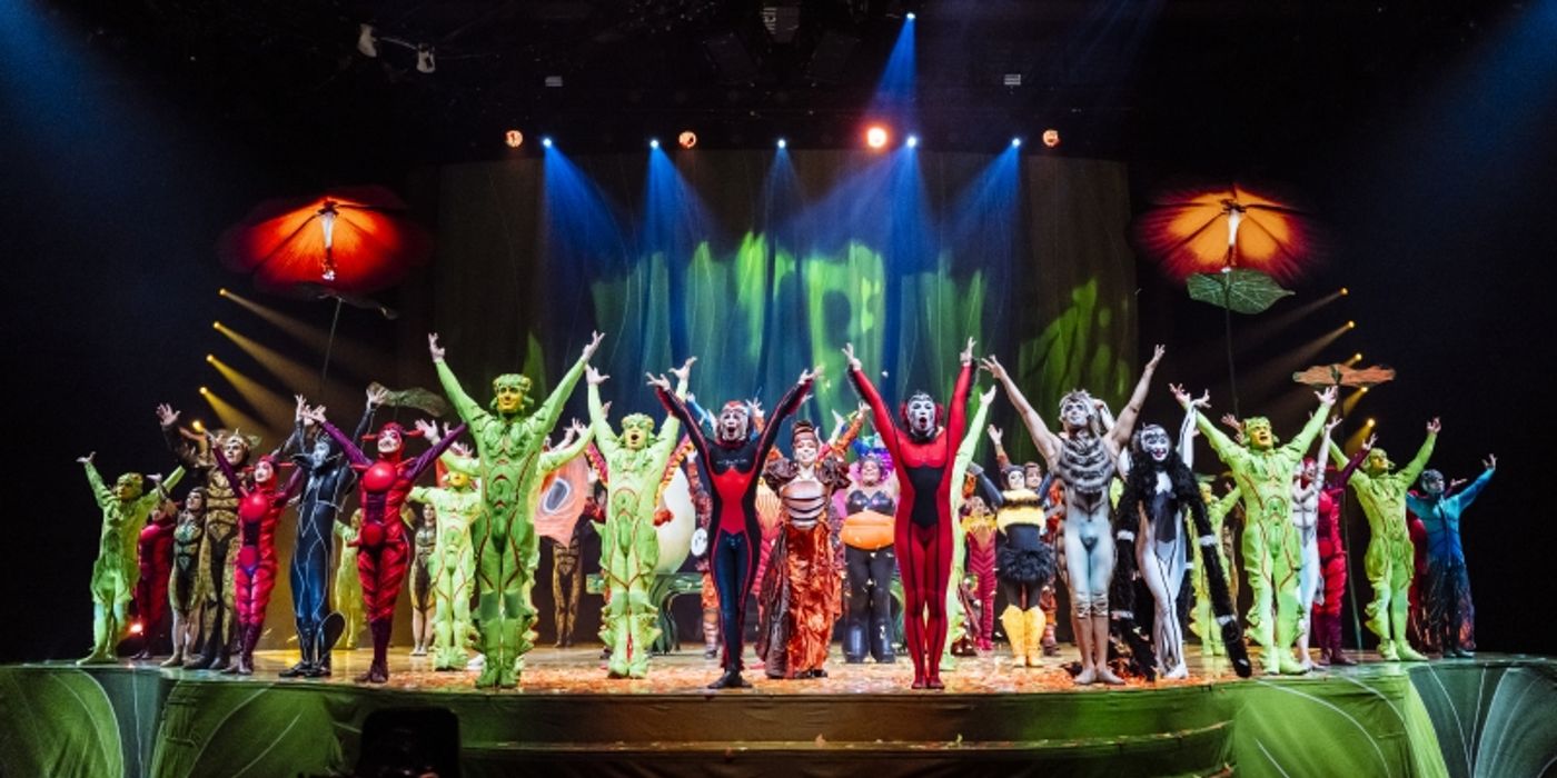 Cirque du Soleil’s OVO Brings a Bold New Buzz to New Orleans  Image