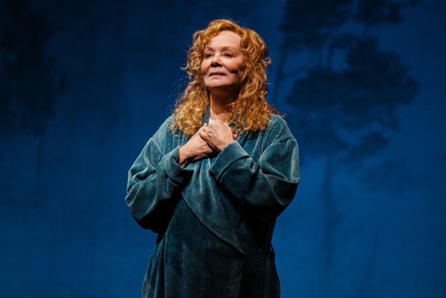 Summer 2025 NYC Theatre Guide: Broadway, Off-Broadway & Outdoors Image