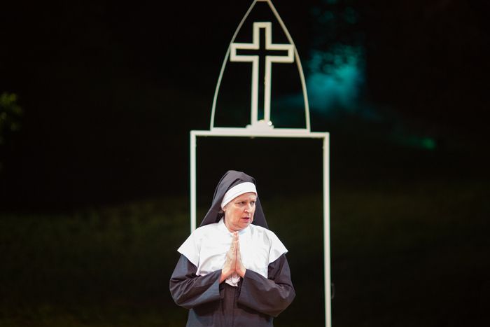 Photos: THE MATCHMAKER and THE COMEDY OF ERRORS at Hudson Valley Shakespeare — photo 19 of 21