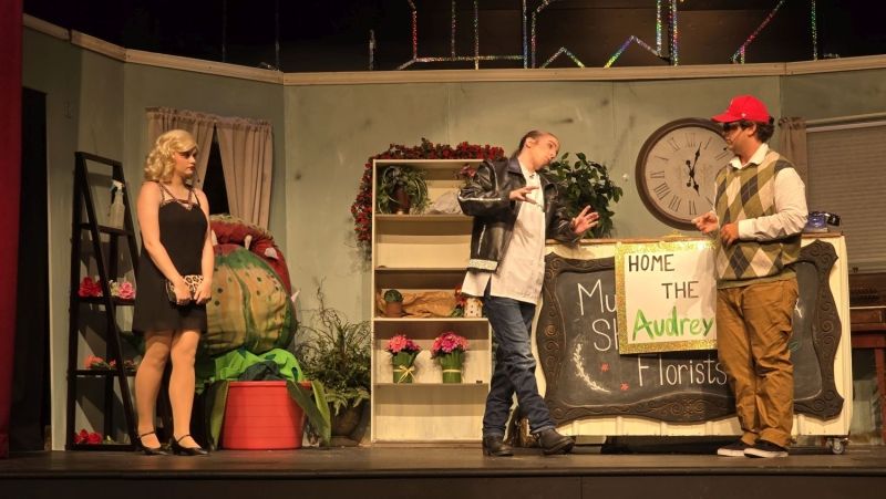 Review: LITTLE SHOP OF HORRORS at Rialto Community Theatre Review: LITTLE SHOP OF HORRORS at Rialto Community Theatre Image