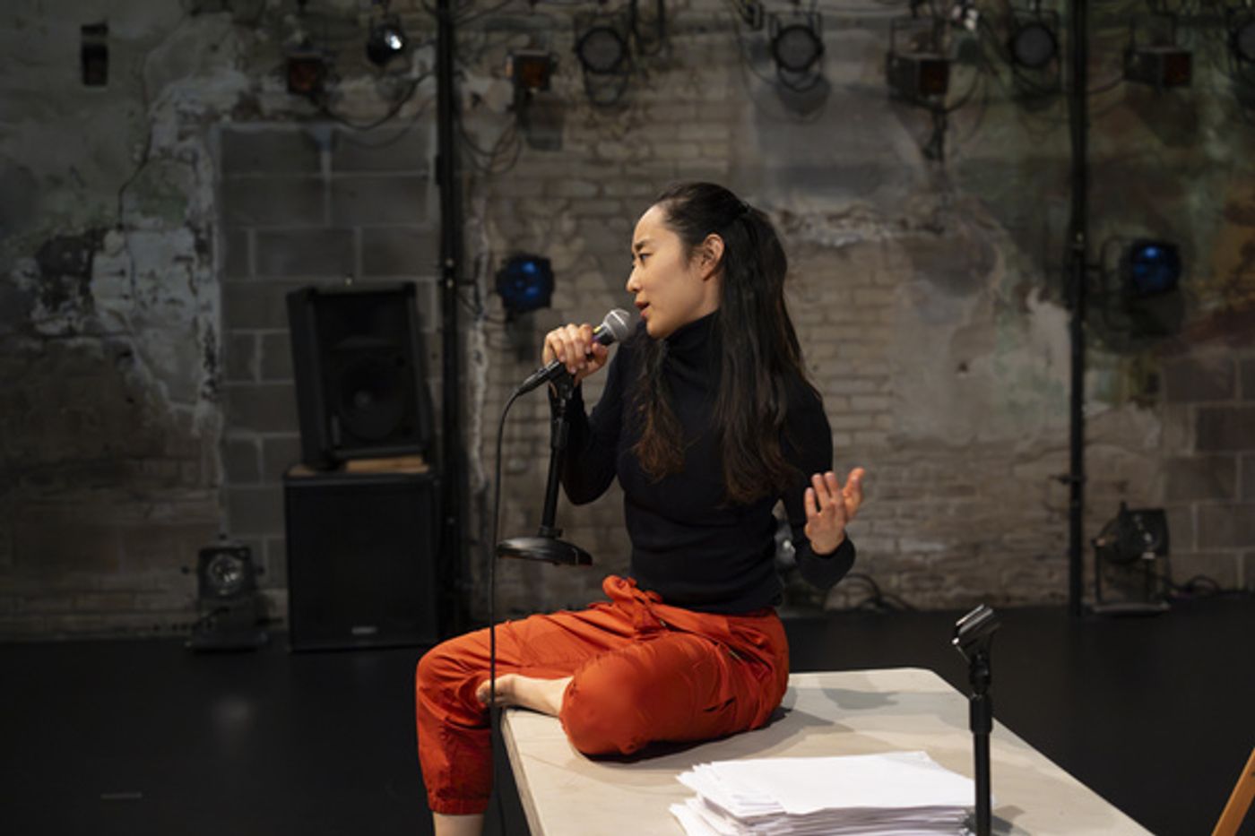 Photos: Nervous Theatre Premieres DANCING ANIMALS At The Southern Theater  Image