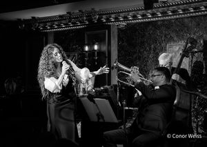 Melissa Errico. Photo credit: Conor Weiss @ BroadwayWorld Melissa Errico. Photo credit: Conor Weiss Photo