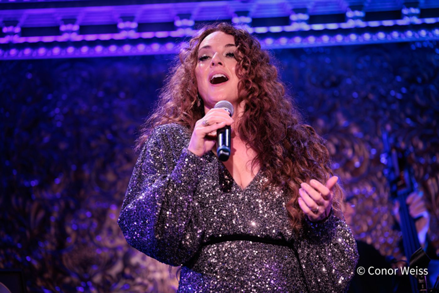 Photos: See Highlights from MELISSA ERRICO SINGS SONDHEIM at 54 Below  Image