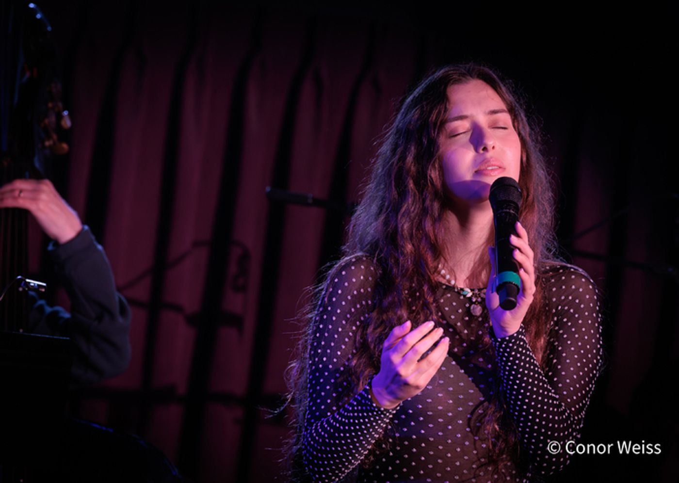 Photos: Highlights from THE LINEUP WITH SUSIE MOSHER at Green Room 42 - June 17  Image