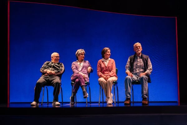 Lee Wilkof, Liz Larsen, Carolyn Mignini and Geoffrey Wade  Photo