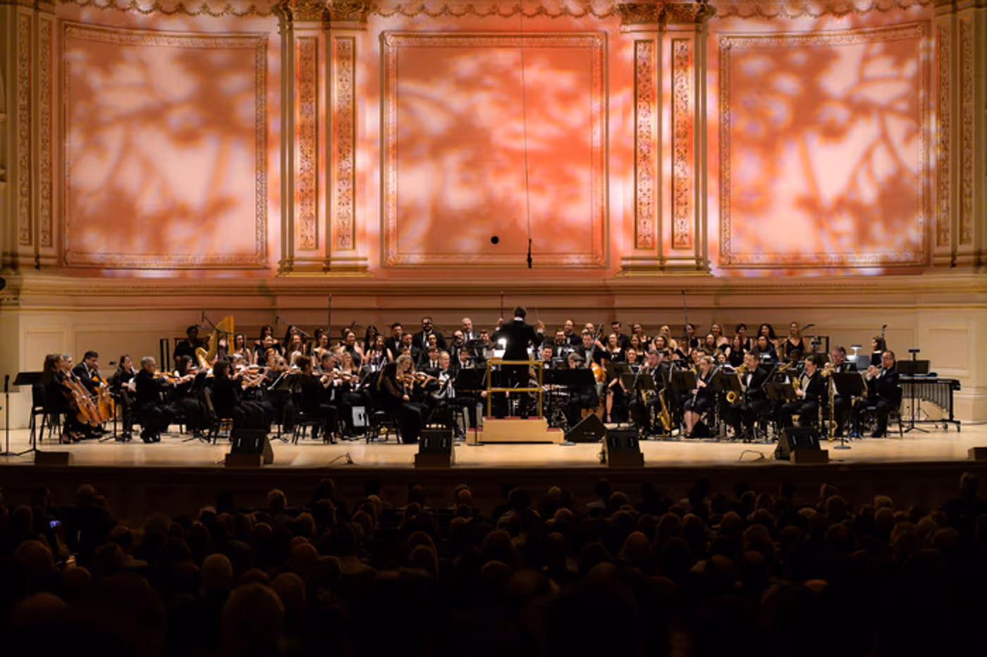 Photos: Inside Transport Group's Star-Studded HELLO, DOLLY! at Carnegie Hall  Image