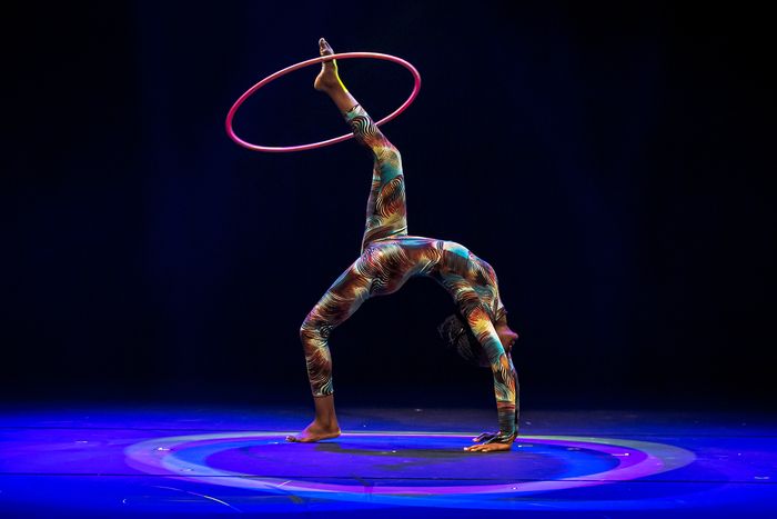 Photos/Video: CIRCUS ABYSSINIA: ETHIOPIAN DREAMS at Chicago Shakespeare Theater — photo 6 of 6