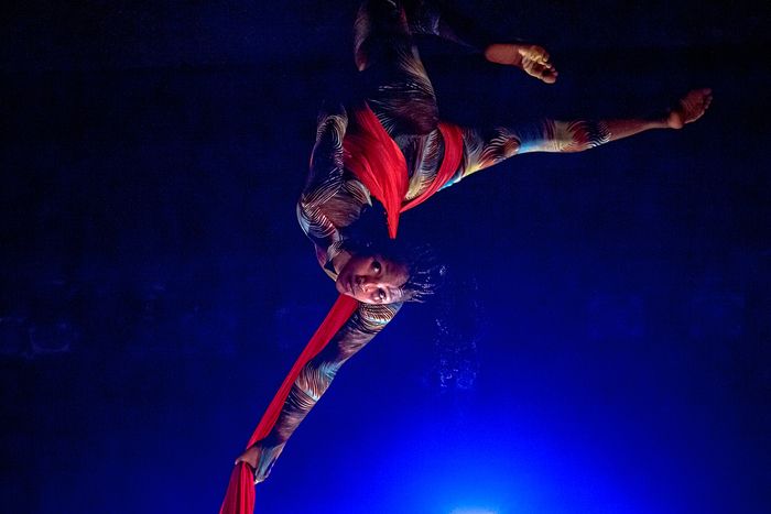 Photos/Video: CIRCUS ABYSSINIA: ETHIOPIAN DREAMS at Chicago Shakespeare Theater — photo 3 of 6